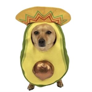 Party Dog Avacado Costume Sz Lg/XL